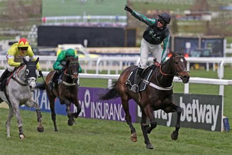 Champion Chase Betting Odds Comparison 2024 .